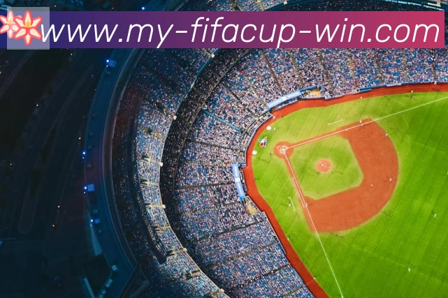 FIFA世界杯下注入口服务体系